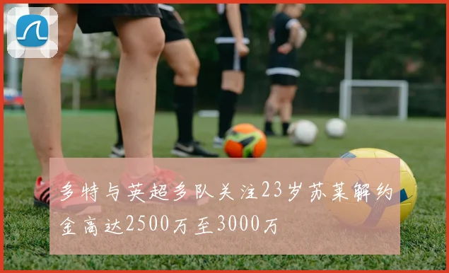 多特与英超多队关注23岁苏莱解约金高达2500万至3000万