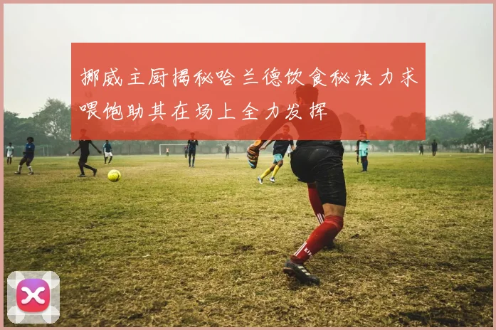 挪威主厨揭秘哈兰德饮食秘诀力求喂饱助其在场上全力发挥