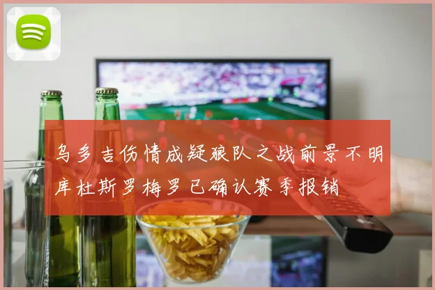 乌多吉伤情成疑狼队之战前景不明库杜斯罗梅罗已确认赛季报销