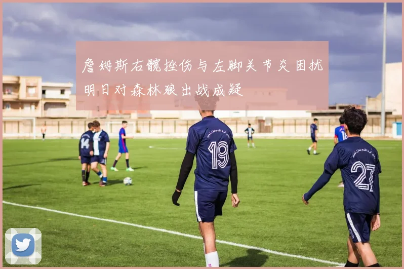 詹姆斯右髋挫伤与左脚关节炎困扰明日对森林狼出战成疑
